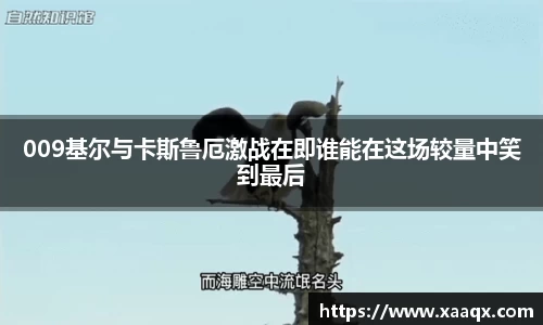 bwin必赢